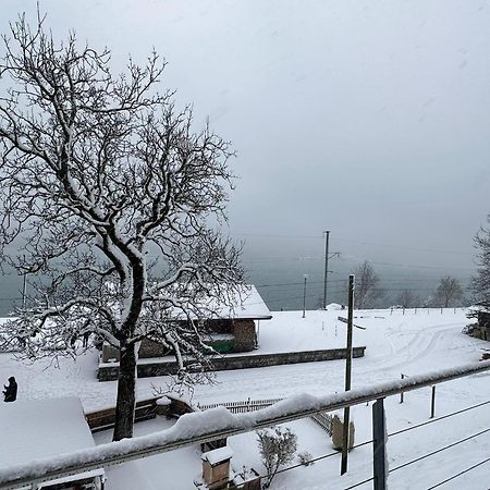 Lake View Residence Niederried bei Interlaken Dış mekan fotoğraf
