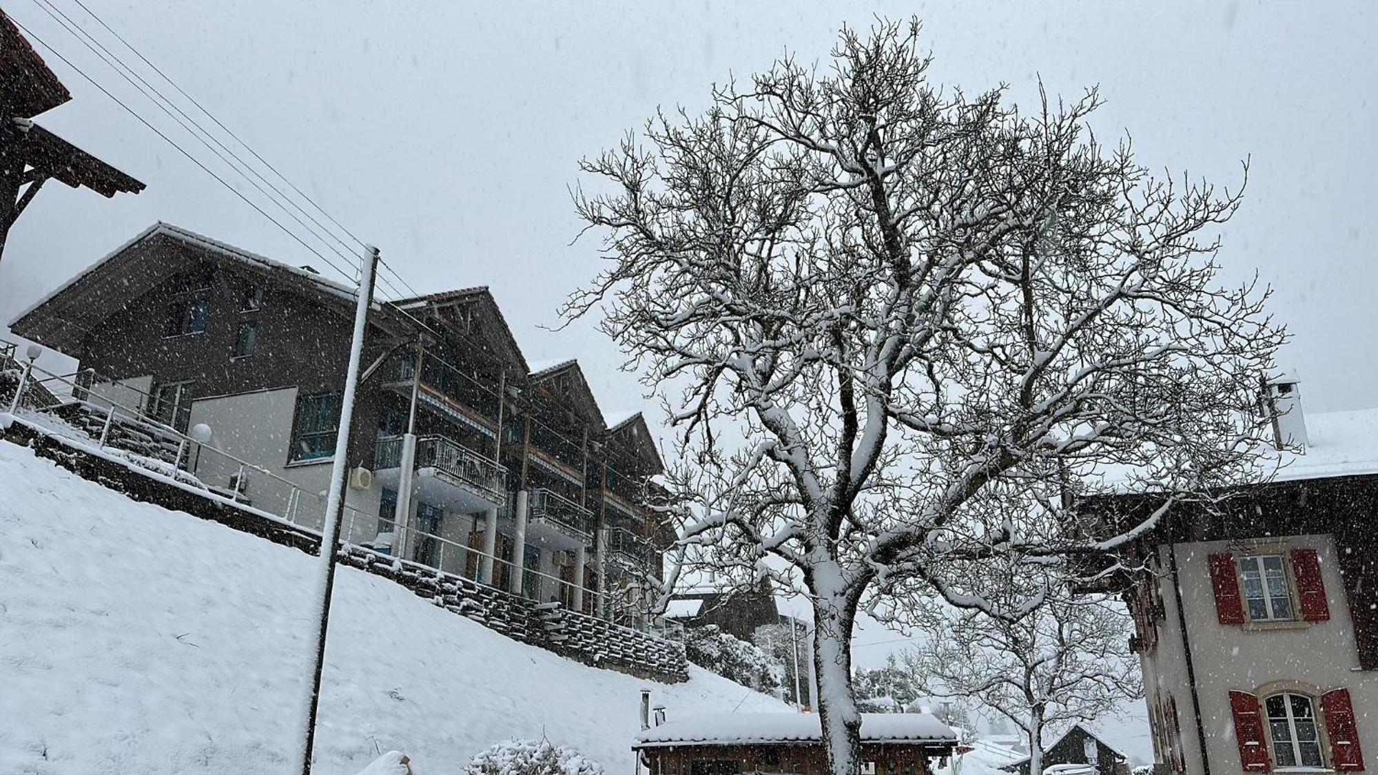 Lake View Residence Niederried bei Interlaken Dış mekan fotoğraf