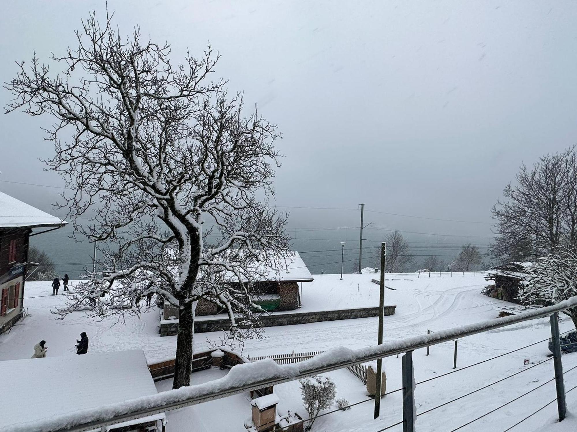 Lake View Residence Niederried bei Interlaken Dış mekan fotoğraf