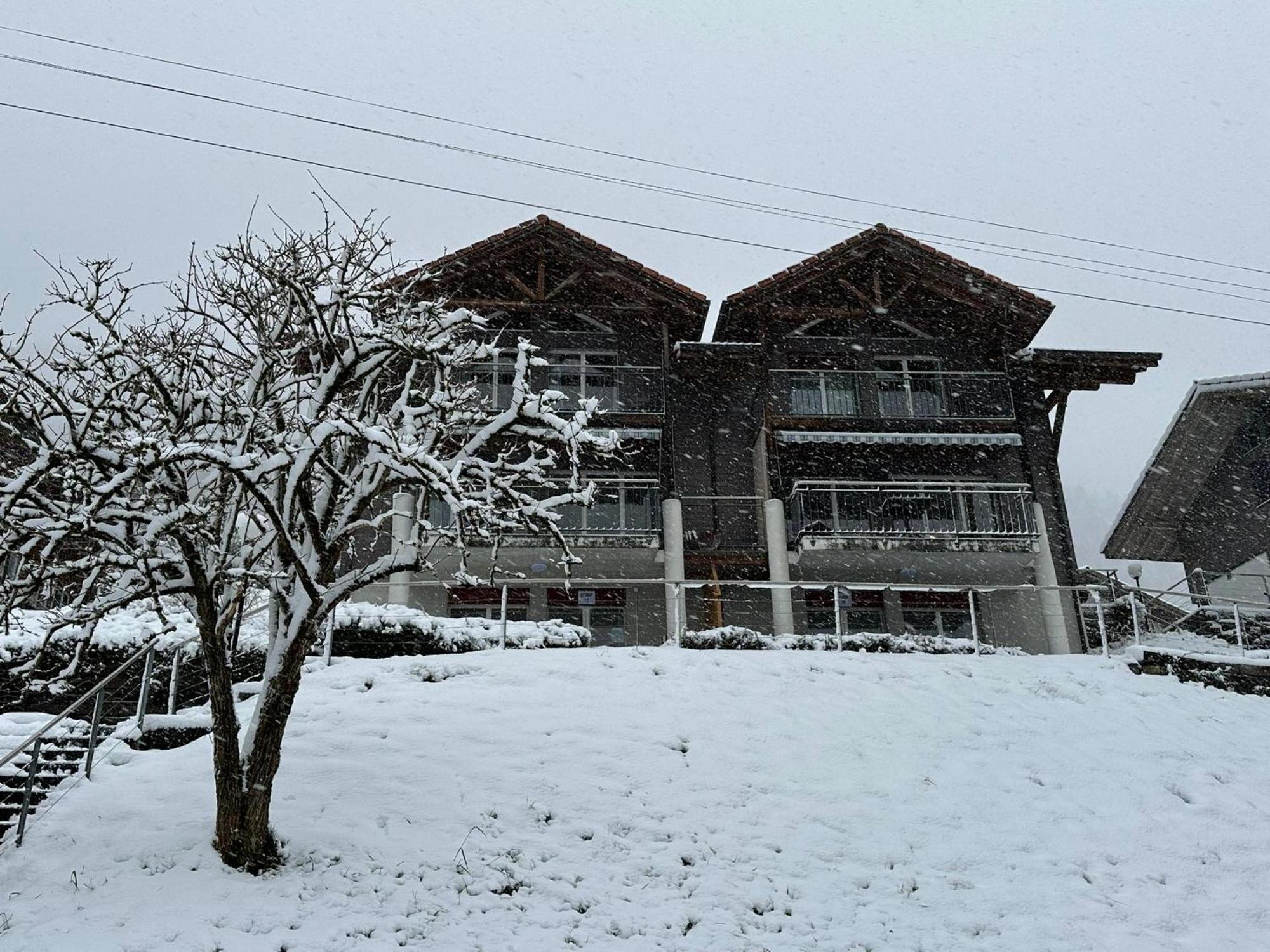 Lake View Residence Niederried bei Interlaken Dış mekan fotoğraf
