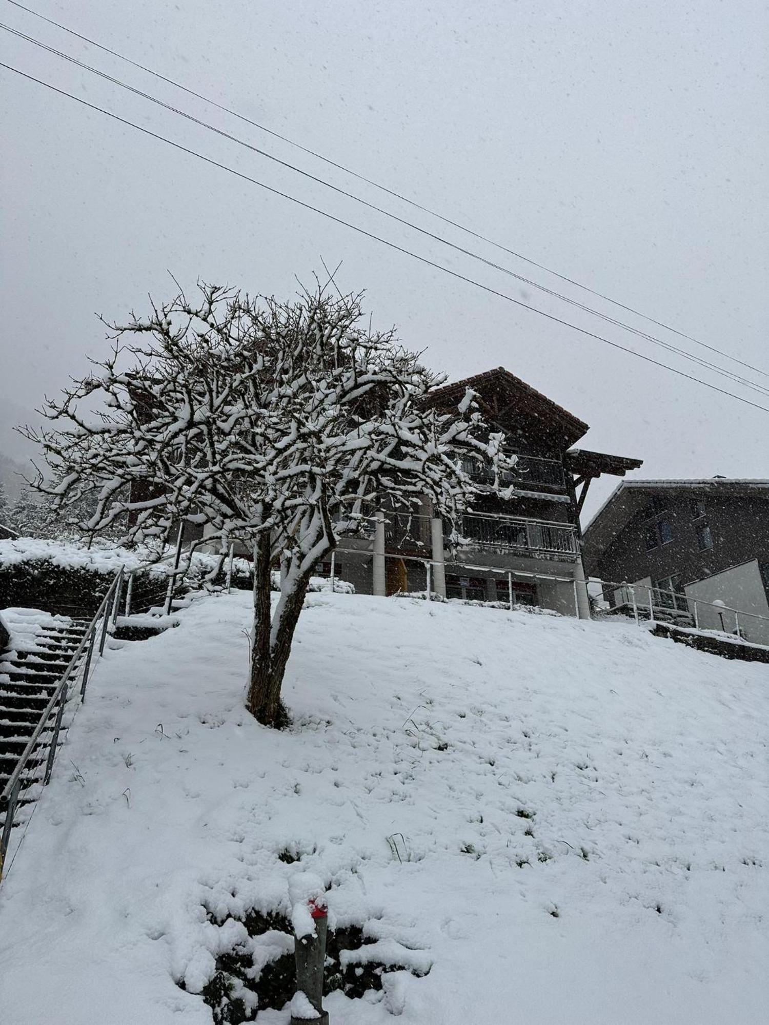 Lake View Residence Niederried bei Interlaken Dış mekan fotoğraf